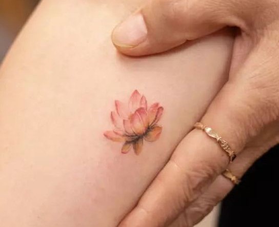 Hình xăm hoa nhỏ phá cách 0787d4e434d6711d21a1107cdee4da4f