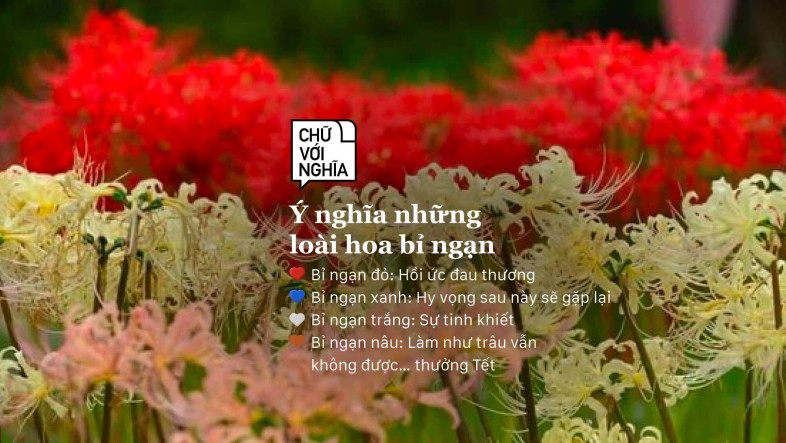Ý Nghĩa Của Hoa Bỉ Ngạn: Truyền Thuyết, Tình Yêu & Luân Hồi 240124