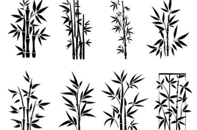 Bamboo Tattoo Design: Meaning, Style & Safety Guide 360 F 629035517 okPPArsNUzx8TRBYTmS6opwDzEYIgB3m