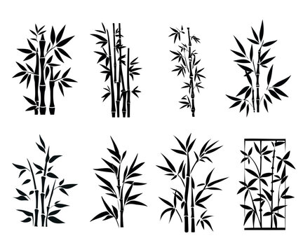 Bamboo Tattoo Design: Meaning, Style & Safety Guide 5 Mô tả SEO giàu ngữ nghĩa