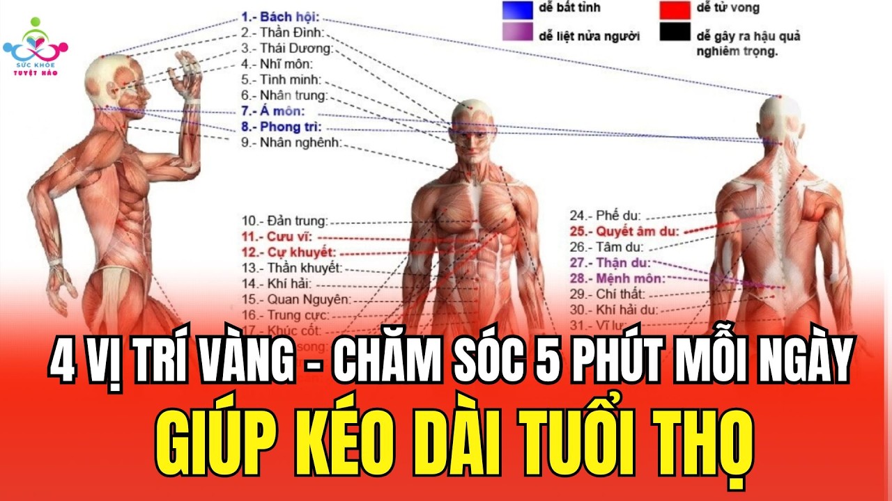 6 Vị Trí Xăm Đẹp Nhất Trên Cơ Thể Khiến Bạn Cực “Chất” 3 Mô tả SEO giàu ngữ nghĩa