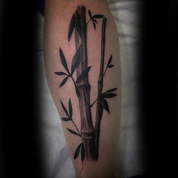 Bamboo Tattoo Design: Meaning, Style & Safety Guide 7 Mô tả SEO giàu ngữ nghĩa