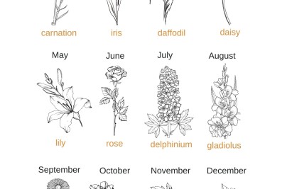 Birth Flower Tattoo Meaning, Ideas & Symbolism Guide Birth Flower Chart infographic