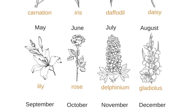 Birth Flower Tattoo Meaning, Ideas & Symbolism Guide Birth Flower Chart infographic