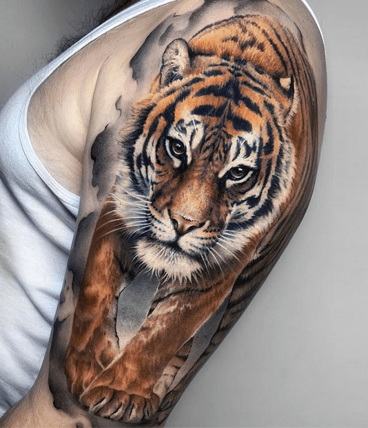 Tiger Tattoo Meaning: Symbolism, Designs & Best Ideas 9 Realistic tiger tattoo design inspiration