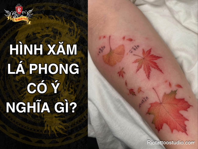 Mô tả SEO giàu ý nghĩa hình xăm lá phong phong thủy