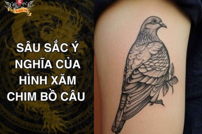 Hình Xăm Bồ Câu Và Ý Nghĩa Hay: Biểu Tượng Hòa Bình, Tự Do & Tâm Linh Sau sac y nghia cua hinh xam chim bo cau