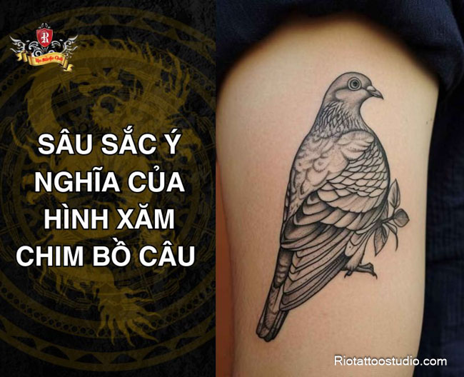 Hình Xăm Bồ Câu Và Ý Nghĩa Hay: Biểu Tượng Hòa Bình, Tự Do & Tâm Linh 6 Mô tả SEO giàu ý nghĩa