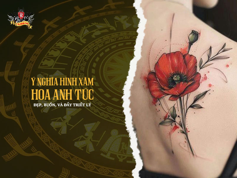 Hình Xăm Hoa Anh Túc Đẹp Nhất & Ý Nghĩa Sâu Sắc 2026 6 M├┤ tß║ú SEO gi├áu ngß╗» ngh─⌐a