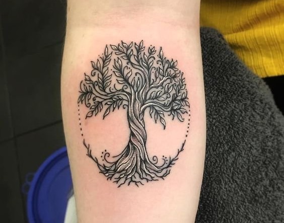 Ý Nghĩa Hình Xăm Cây Cổ Thụ (Tree of Life) - Giải Mã Biểu Tượng Sự Sống Và Kết Nối cay co thu hinh xam