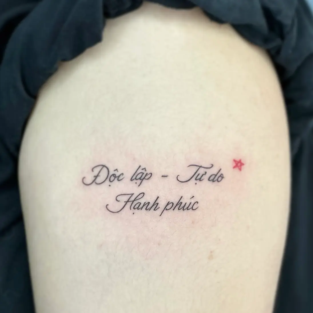 Vietnamese Script Tattoo Phrases: Meanings & Expert Guide doc lap tu do hanh phuc tattoo 2
