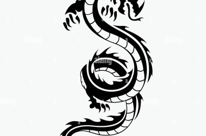 Dragon Tattoo Meaning, Designs & Symbolism Guide dragon vector illustration for tattoo designs logos icons symbols t shirt designs and other design equipment R8PJDP