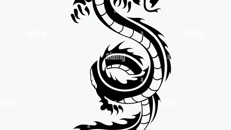 Dragon Tattoo Meaning, Designs & Symbolism Guide dragon vector illustration for tattoo designs logos icons symbols t shirt designs and other design equipment R8PJDP