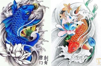 Hình xăm cá chép đẹp: Ý nghĩa, mẫu & phong thủy 2026 hinh xam ca chep
