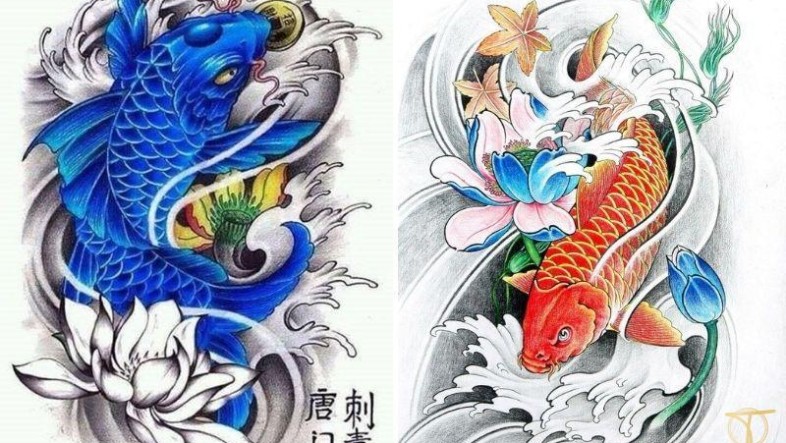 Hình xăm cá chép đẹp: Ý nghĩa, mẫu & phong thủy 2026 hinh xam ca chep