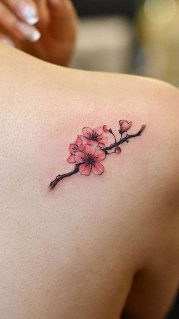 Ý nghĩa của hình xăm hoa anh đào: Biểu tượng sâu sắc trong nghệ thuật tattoo Nhật Bản 7 Mô tả SEO giàu nghĩa hình xăm hoa anh đào mini