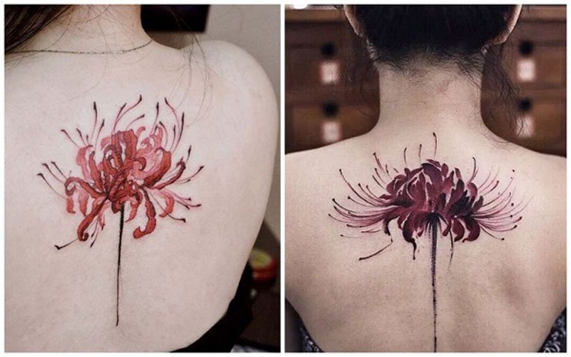 Hình Xăm Hoa Bỉ Ngạn: Ý Nghĩa Sâu Sắc & Biểu Tượng 8 Mô tả SEO giàu nghĩa hình xăm hoa bỉ ngạn phong cách hiện đại
