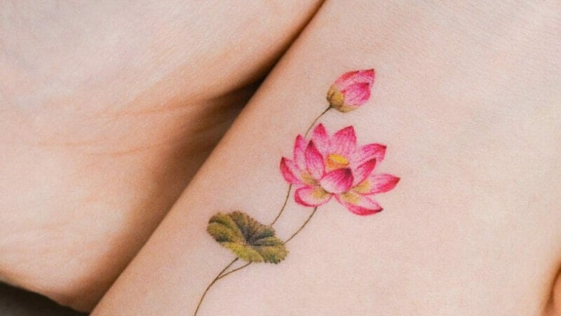 Ý Nghĩa Hình Xăm Hoa Sen: Biểu Tượng Tâm Linh & Tái Sinh hinh xam hoa sen yody vn1