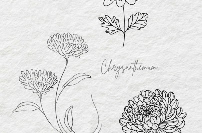 Chrysanthemum Tattoo Meaning, Designs & Symbolism Guide il fullxfull.6206765411 t9rb