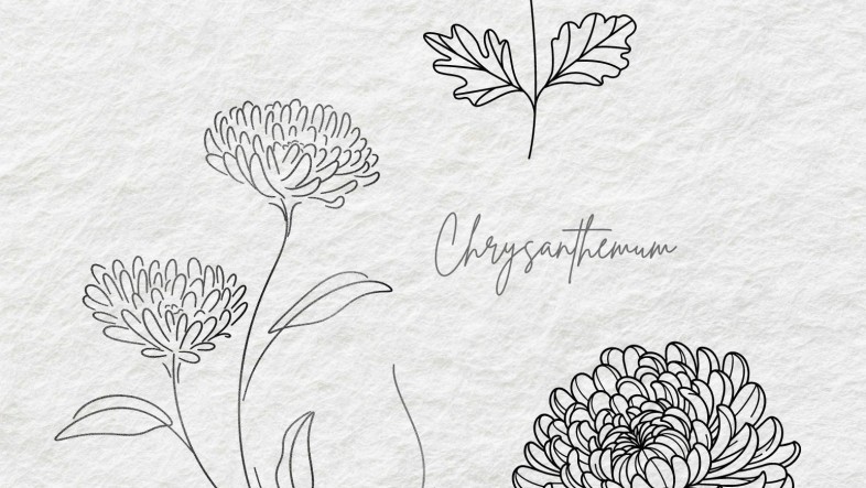 Chrysanthemum Tattoo Meaning, Designs & Symbolism Guide il fullxfull.6206765411 t9rb