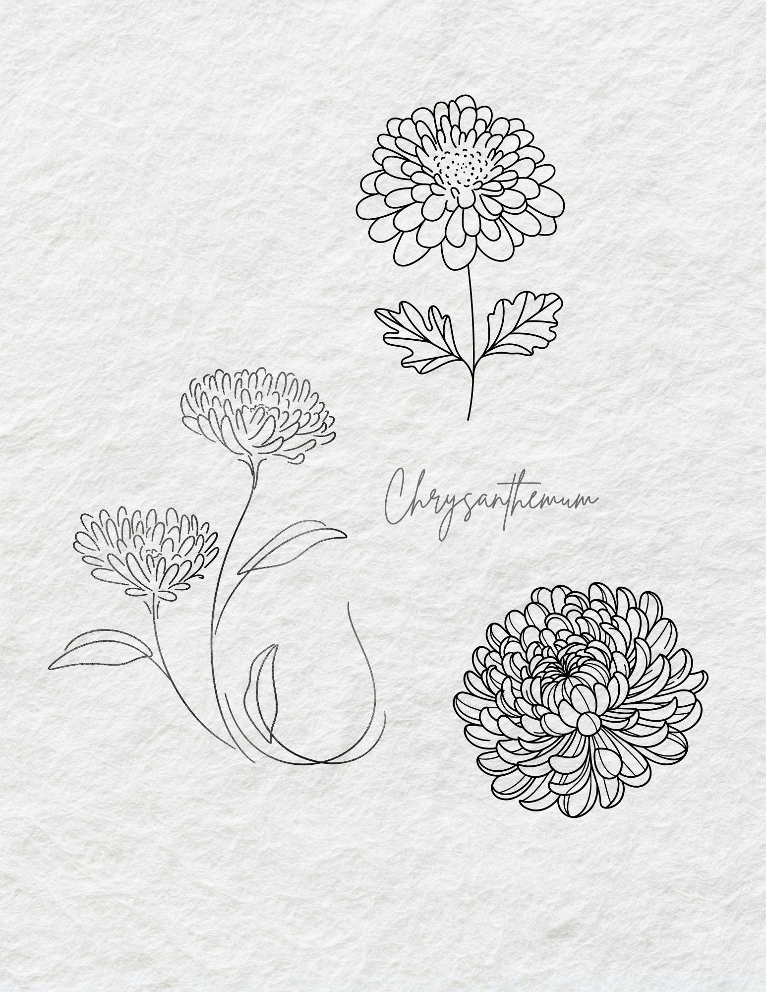 Chrysanthemum Tattoo Meaning, Designs & Symbolism Guide 6 Mô tả SEO giàu ngữ nghĩa