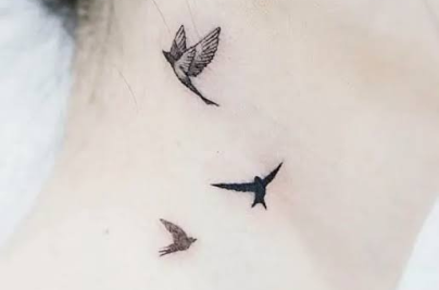 Small Bird Tattoo Ideas, Meanings & Symbolism Guide image 113