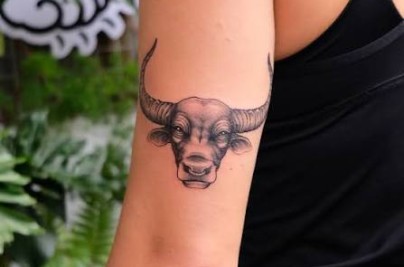 Water Buffalo Tattoo Vietnam Meaning, Symbolism & Cultural Depth imagesqtbnANd9GcTWLH2LVmlxUjg18yRT4cpI6t84T tVyLDTl6Ug0SHysi2tQ1aVy5SdwdUJs10