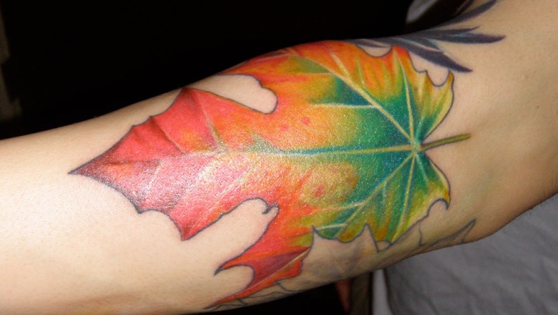 Ý nghĩa hình xăm lá phong: Biểu tượng thay đổi và trưởng thành leaf tat 12 1