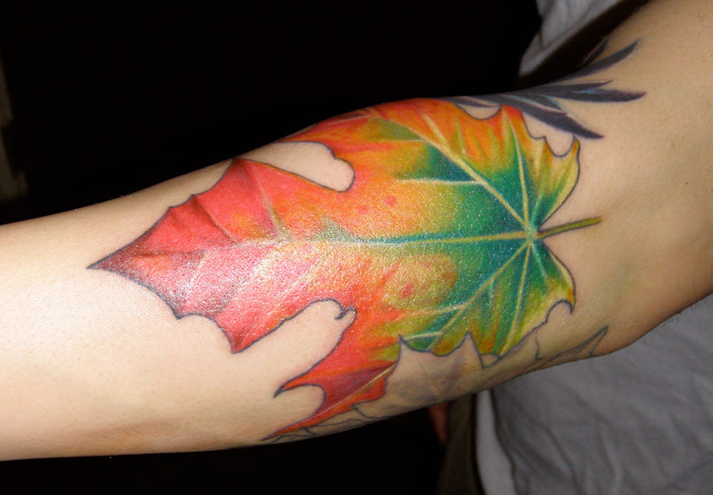 Ý nghĩa hình xăm lá phong: Biểu tượng thay đổi và trưởng thành leaf tat 12 1