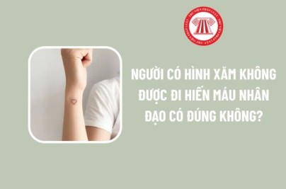 Xăm Hình Có Được Đi Hiến Máu? Giải Đáp Chuẩn Y Khoa 2026 nguoi co hinh xam khong duoc di hien mau nhan dao co dung khong yeu cau ve suc khoe doi voi nguoi hien mau nhan dao