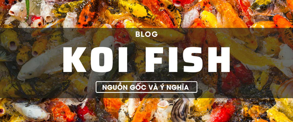 M├┤ tß║ú SEO gi├áu nguồc gốc cá Koi