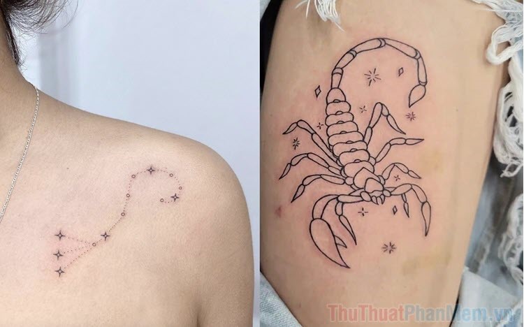 Những Hình Xăm Bọ Cạp Đẹp Và Ý Nghĩa Nhất Hiện Nay 5 Mô tả SEO giàu ngữ nghĩa