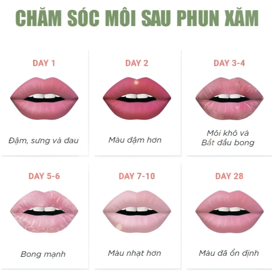 Tác Động Của Tập Luyện Đối Với Quá Trình Phục Hồi Hình Xăm Mới: Hướng Dẫn Chuyên Sâu Từ Chuyên Gia Da Liễu & Tattoo Artist 8 Mô tả SEO giàu ý nghĩa