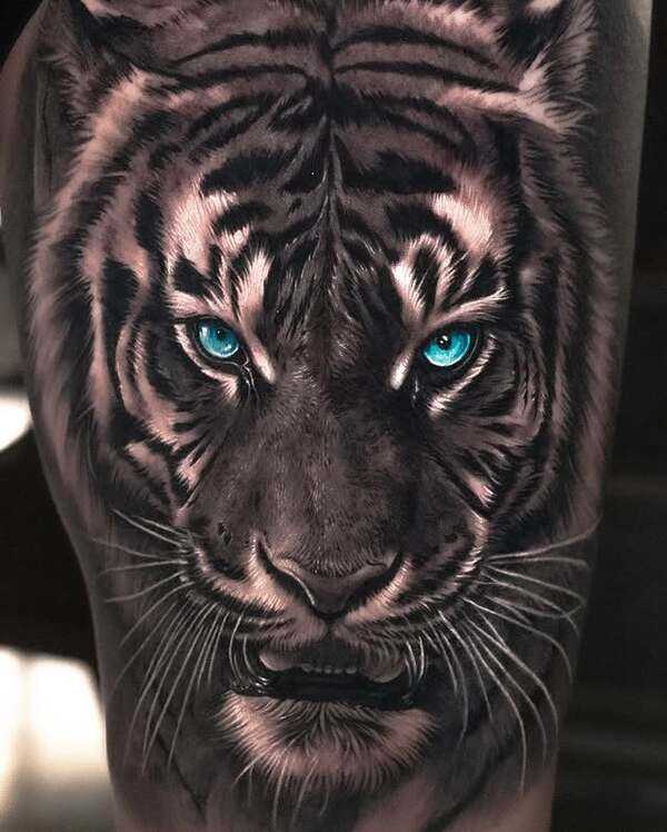 Tiger Tattoo Meaning: Symbolism, Designs & Best Ideas 8 Tiger tattoo representing independence and personal strength