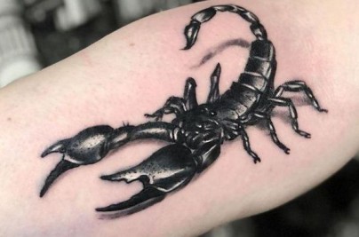 Những Hình Xăm Bọ Cạp Đẹp Và Ý Nghĩa Nhất Hiện Nay tattoo bo cap 3d