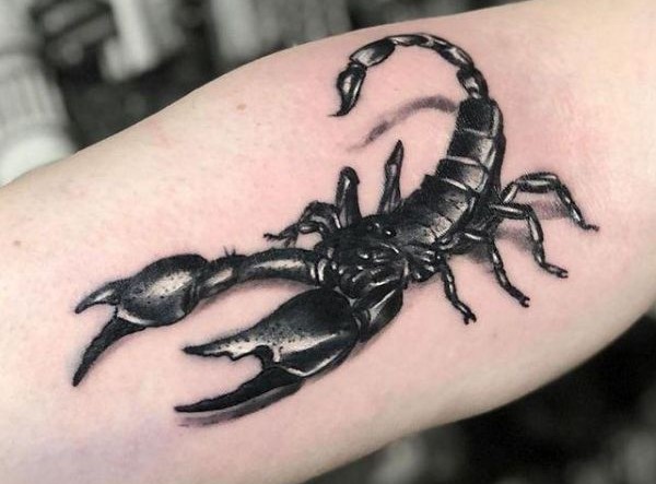 Những Hình Xăm Bọ Cạp Đẹp Và Ý Nghĩa Nhất Hiện Nay tattoo bo cap 3d