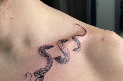 Collarbone Tattoo (Hình Xăm Xương Quai Xanh): Ý Nghĩa, Đau & Thiết Kế tattoo idea these snake clavicle tattoos but with v0 ctizw5o4ngsc1