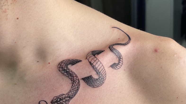 Collarbone Tattoo (Hình Xăm Xương Quai Xanh): Ý Nghĩa, Đau & Thiết Kế tattoo idea these snake clavicle tattoos but with v0 ctizw5o4ngsc1