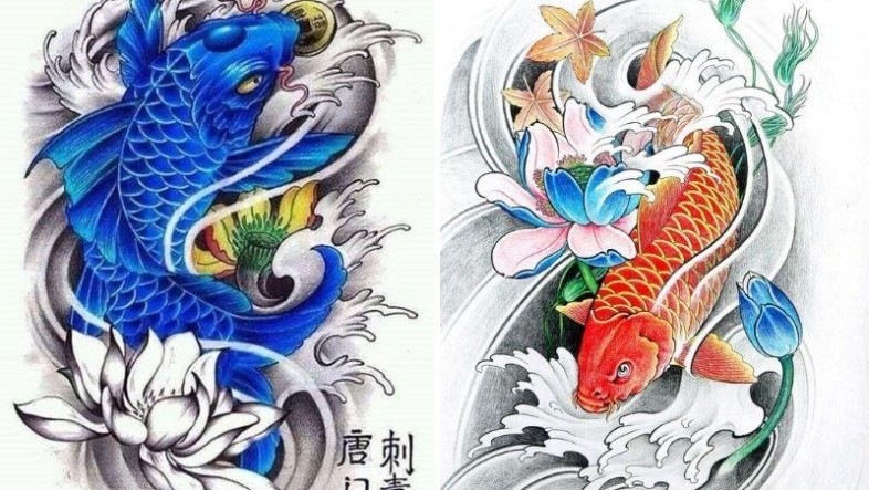 Ý nghĩa hình xăm cá chép: Biểu tượng may mắn hay thành công? y nghia hinh xam ca chep 40 mau hinh xam ca chep dep 202203260018080366