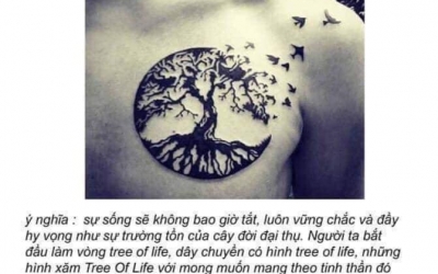 Ý Nghĩa Hình Xăm Cây Đời (Tree of Life) Trong Các Nền Văn Hóa y nghia hinh xam cay doi 1003 11673670703514002501