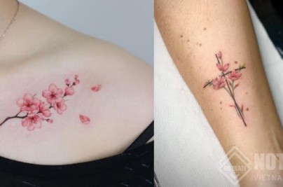Ý nghĩa hình xăm hoa anh đào: Biểu tượng vô thường & vẻ đẹp y nghia hinh xam hoa anh dao tay